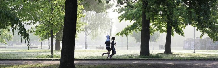 zwei Menschen joggen im Park