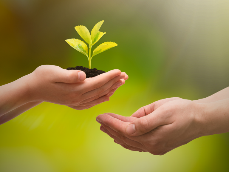 Zwei Hände halten Erde mit einer kleinen Pflanze umschlossen, zwei weitere Hände ohne Inhalt nähern sich diesen Händen. Steht symbolisch für den Förderschwerpunkt "Klimaschutz in Kommunen" (KommKlimaFöR)