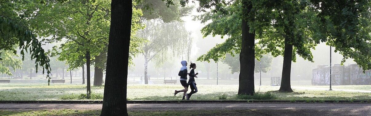 zwei Menschen joggen im Park