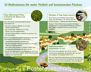 Poster "10 Maßnahmen für mehr Vielfalt auf kommunalen Flächen" des Blühpakts Bayern